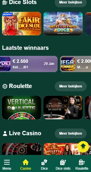 Bonussen beschikbaar in CASINO333

